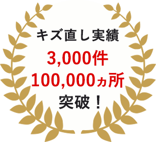 傷直し実績3,000件
100,000カ所突破!